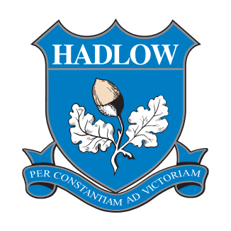 WaiEggs at Hadlow School