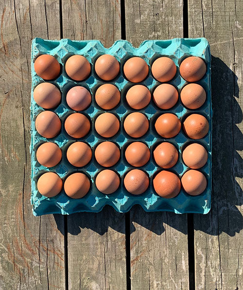 Free Range Size 5
