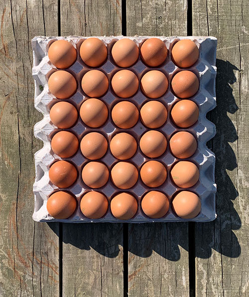 Free Range Size 6